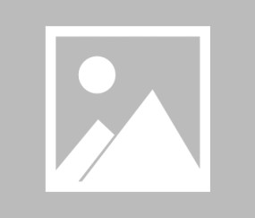 betvictor伟德-【湖人球迷电台】庄神加盟湖蜜欢呼雀跃，但请先冷静