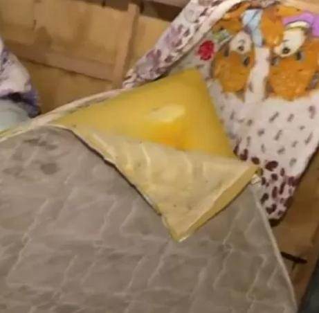 1702996841229077249.png 1702996841229077249.png